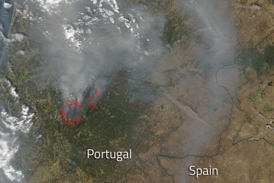 Proteção da casa contra incêndios florestais no verão 2026 em Portugal: a faixa de gestão de combustível, o seguro e as multas que ninguém quer levar