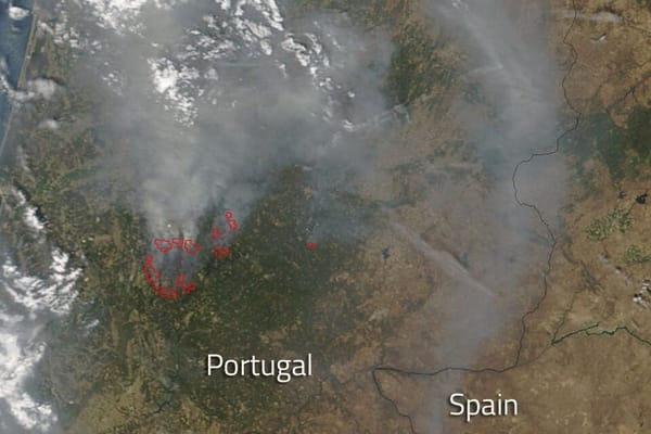 Proteção da casa contra incêndios florestais no verão 2026 em Portugal: a faixa de gestão de combustível, o seguro e as multas que ninguém quer levar
